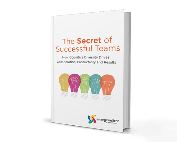 eBook cover of The Secret of Successful Teams