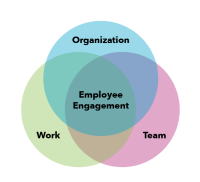 Venn diagram showing employee engagement at the intersection of team, organization and work