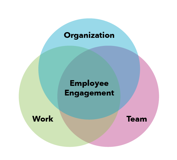 Venn diagram showing employee engagement at the intersection of team, organization and work